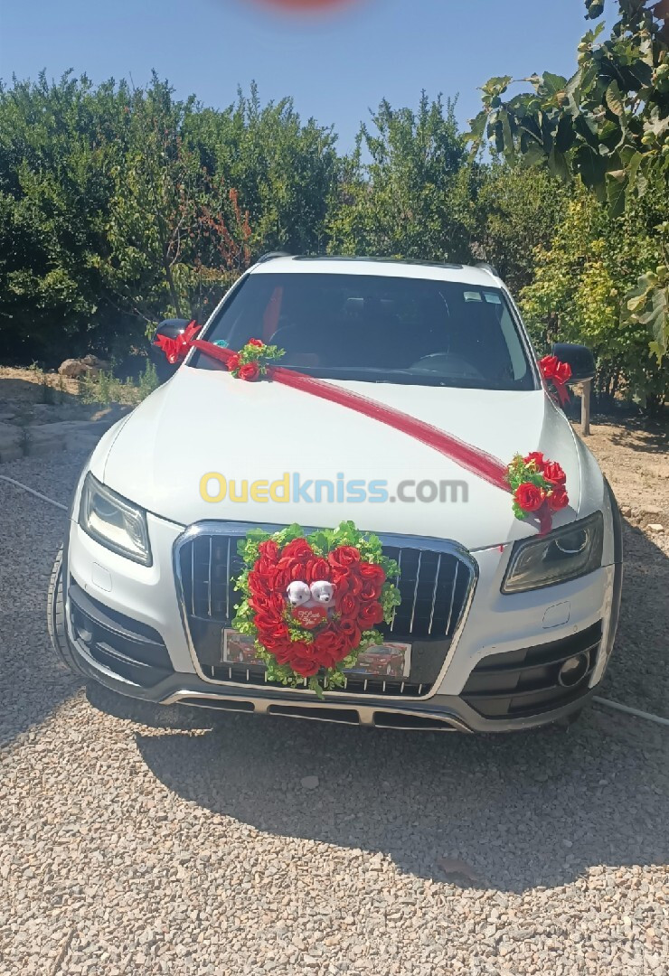 Audi Q5 2014 S Line