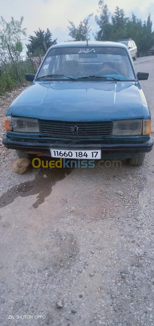 Renault 305 1984 305