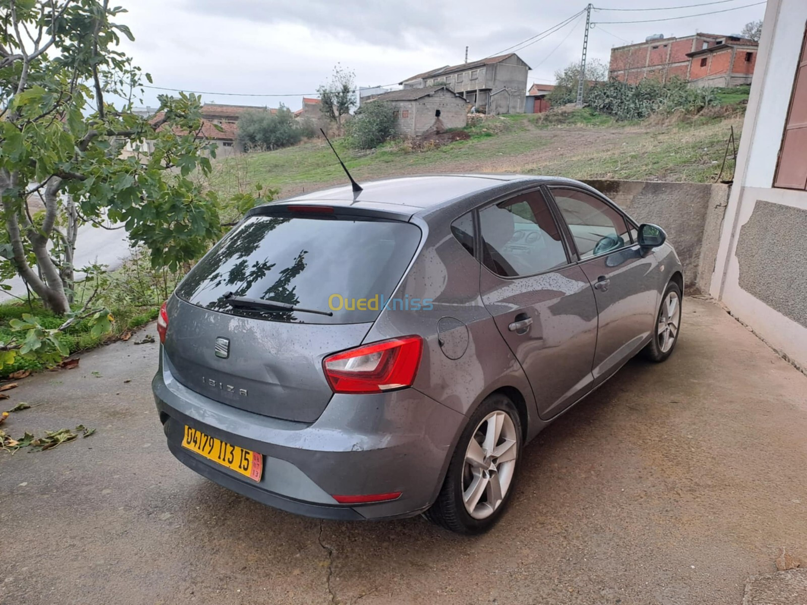 Seat Ibiza 2013 Sport Edition