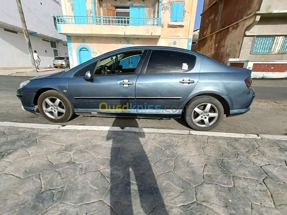 Peugeot 407 2004 407