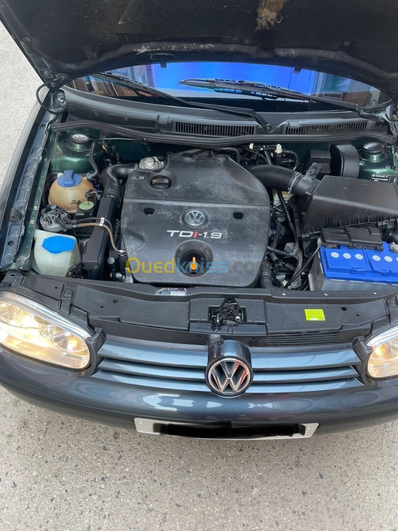 Volkswagen Golf 4 1999 Golf 4