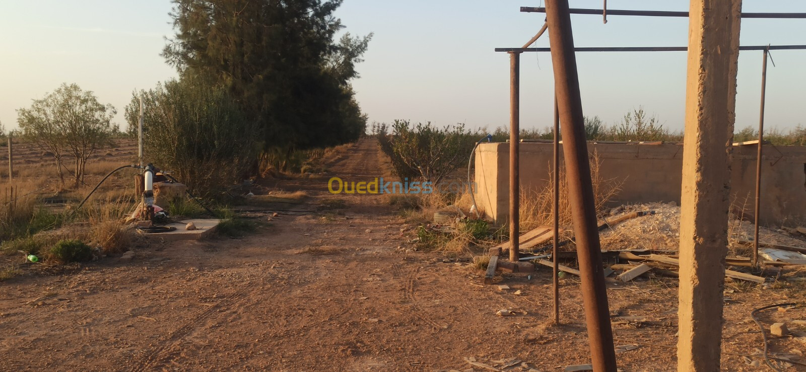 Vente Terrain Agricole Djelfa Ain oussara