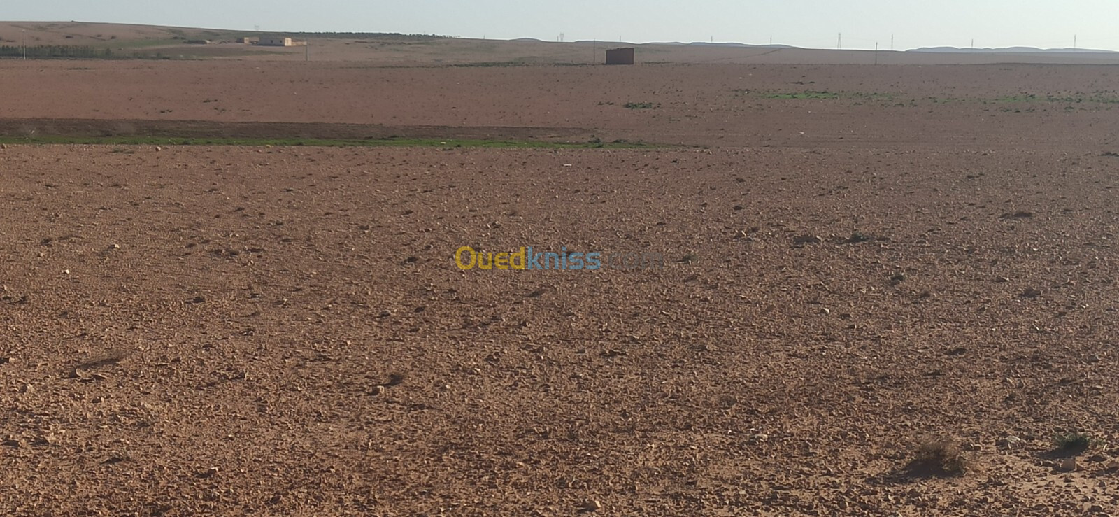 Vente Terrain Agricole Djelfa Ain oussara