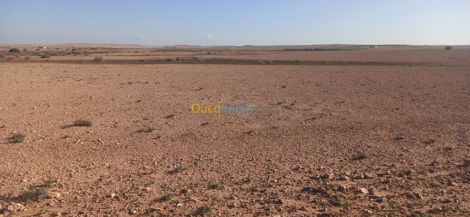 Vente Terrain Agricole Djelfa Ain oussara