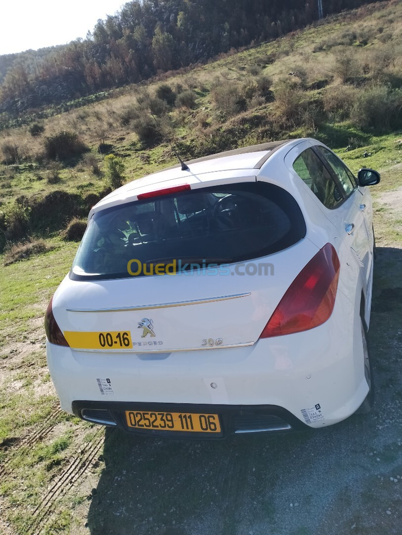 Peugeot 308 2011 308