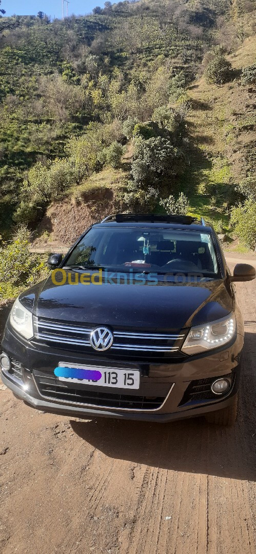 Volkswagen Tiguan 2013 Life