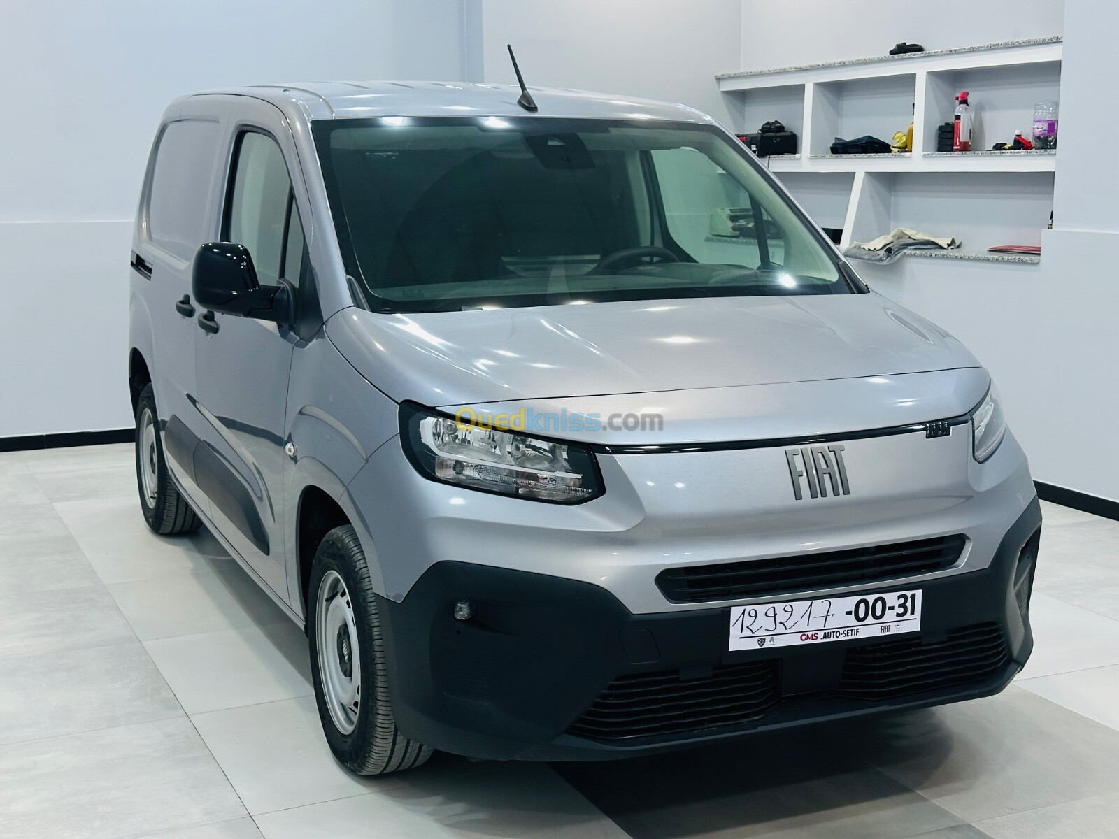 Fiat Doblo 2024 Professional