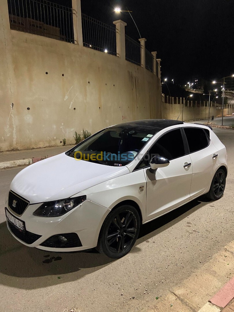 Seat Ibiza 2010 