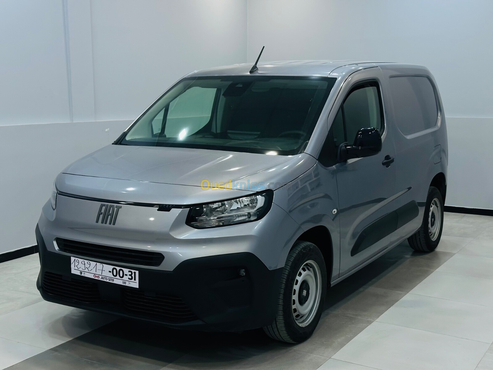 Fiat Doblo 2024 Professional