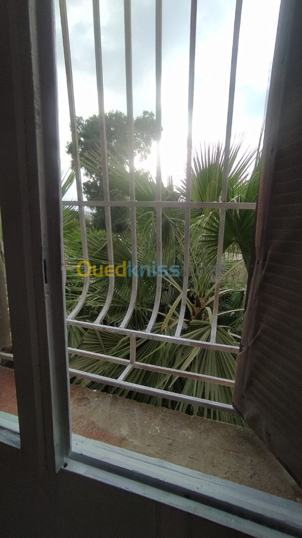 Vente Appartement F4 Tipaza Hadjout