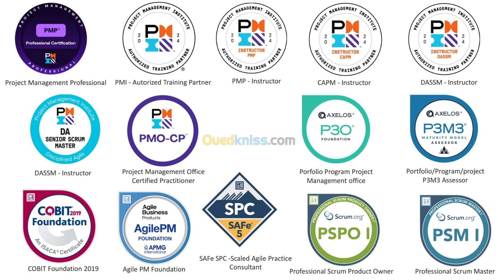 Certification PMP - PMI v2025 Project Management Professional 