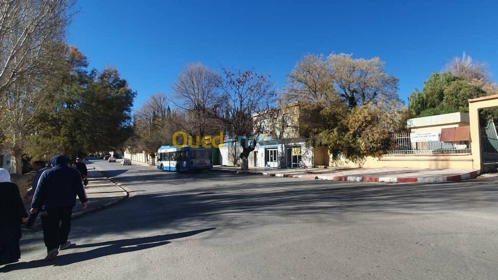 Vente Terrain Tiaret Tiaret