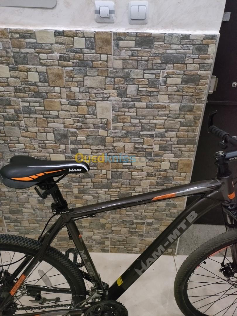 Vélo Ham à vendre