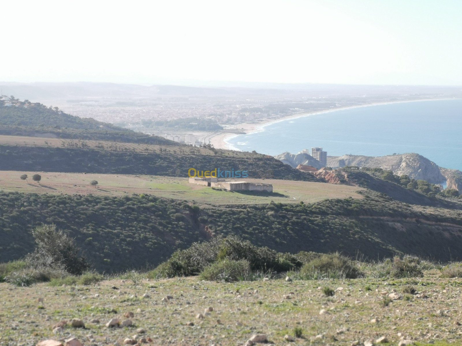 Vente Terrain Tlemcen Marsa ben mhidi