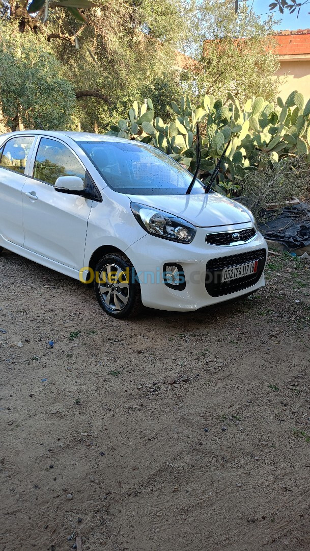 Kia Picanto 2017 Safety