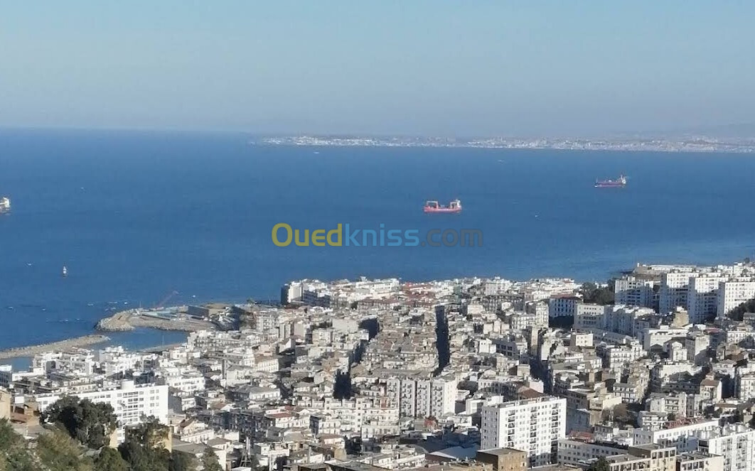 Vente Terrain Alger Oued koriche