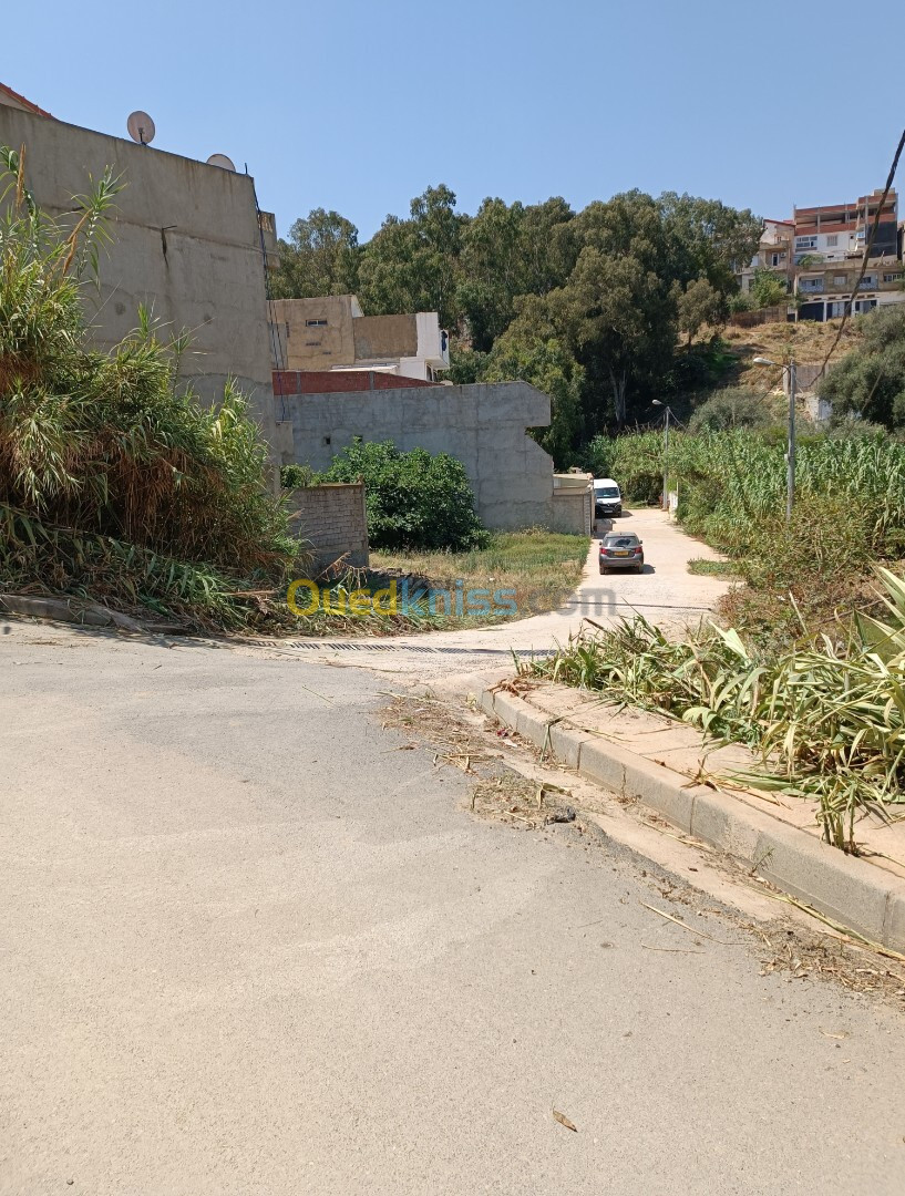 Vente Terrain Tipaza Cherchell