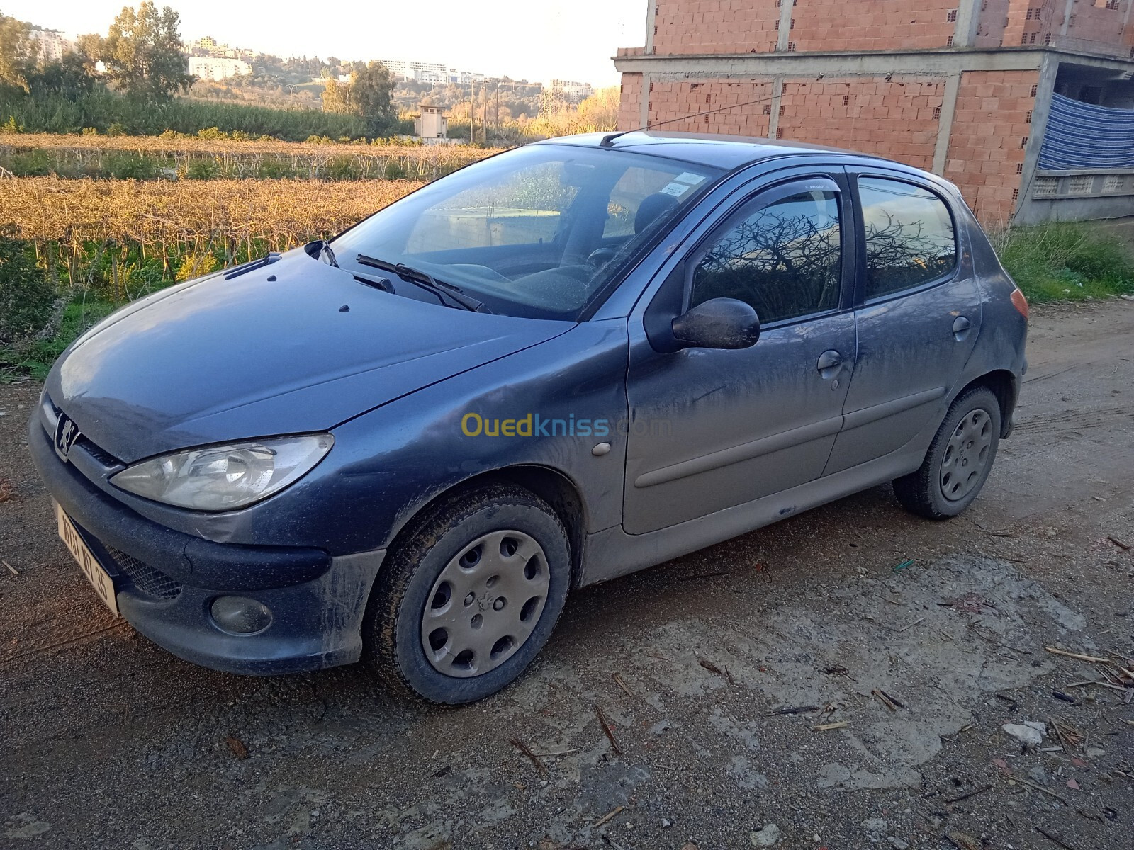 Peugeot 206 2007 206