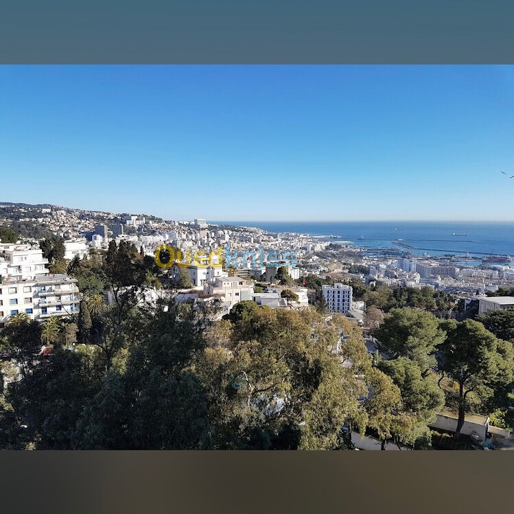 Vente bien immobilier Alger El mouradia