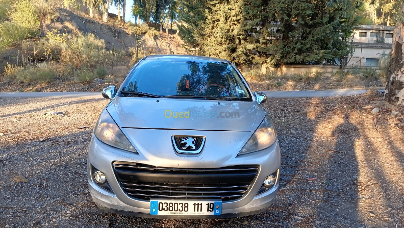 Peugeot 207 2011 207