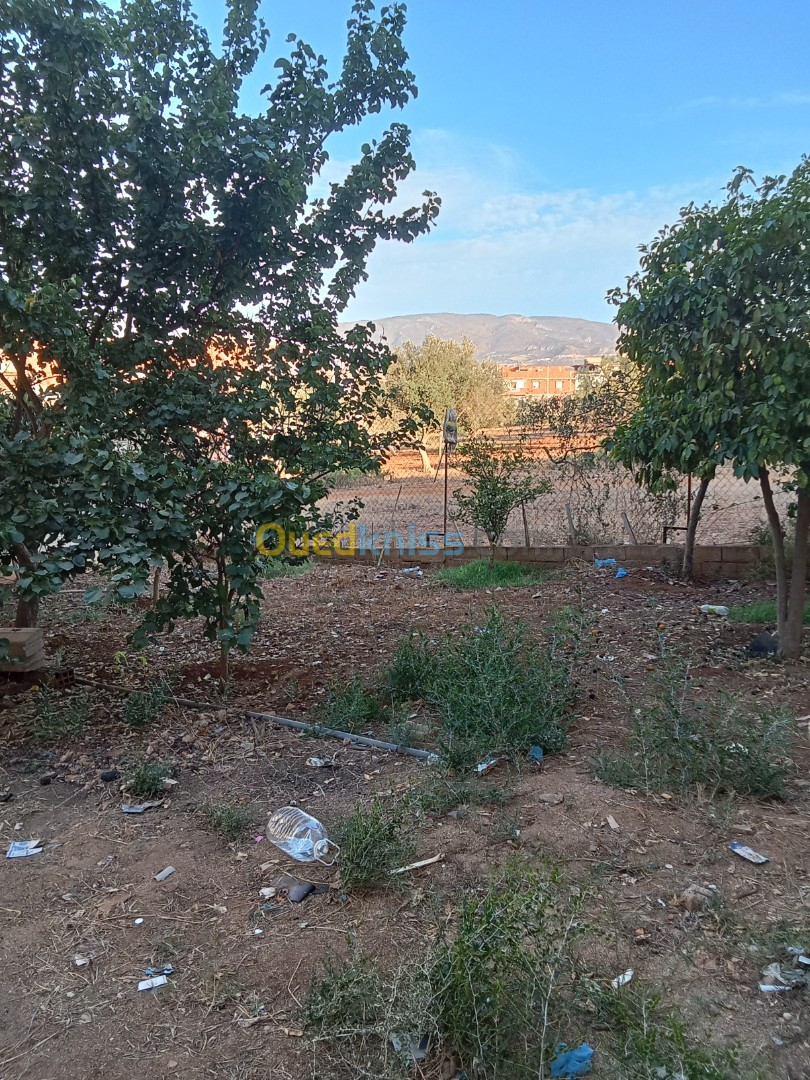 Vente Villa Tlemcen Nedroma