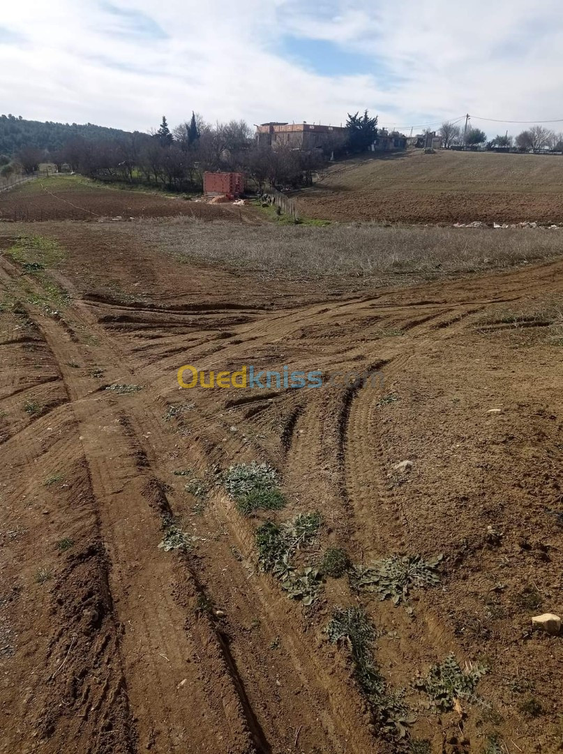 Vente Terrain Médéa Berrouaghia