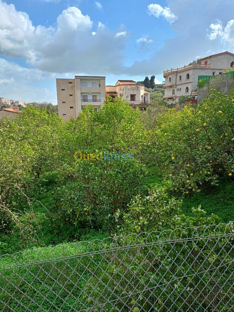 Vente Terrain Alger Draria