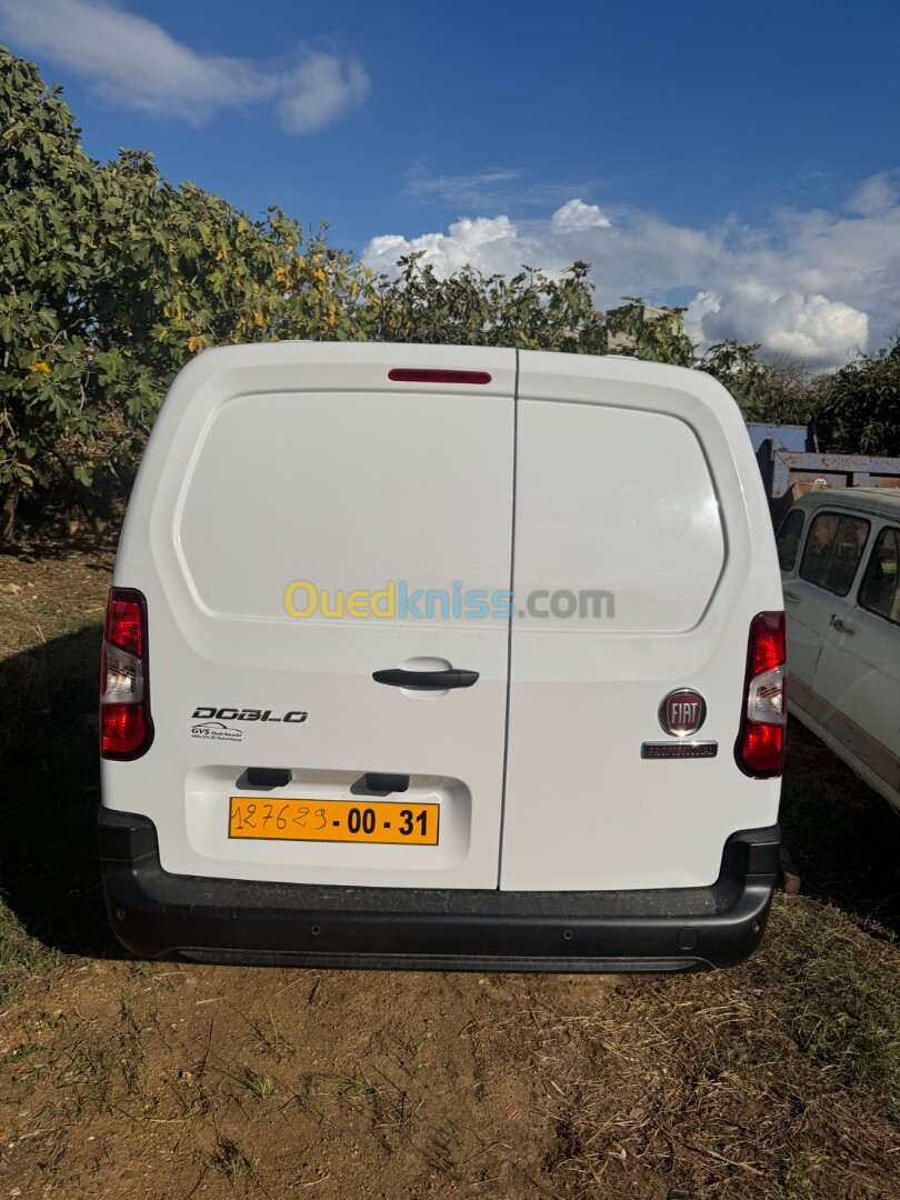 Fiat Professional Doblo 2024 Doblo