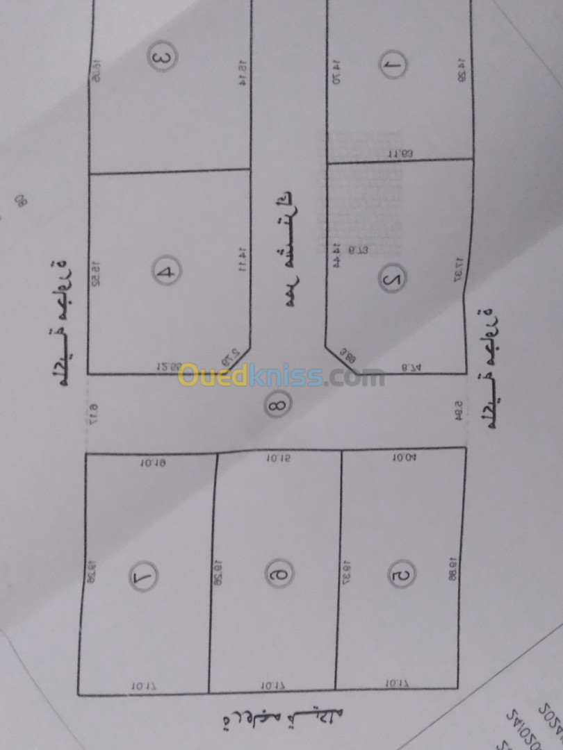 Vente Terrain Blida Blida