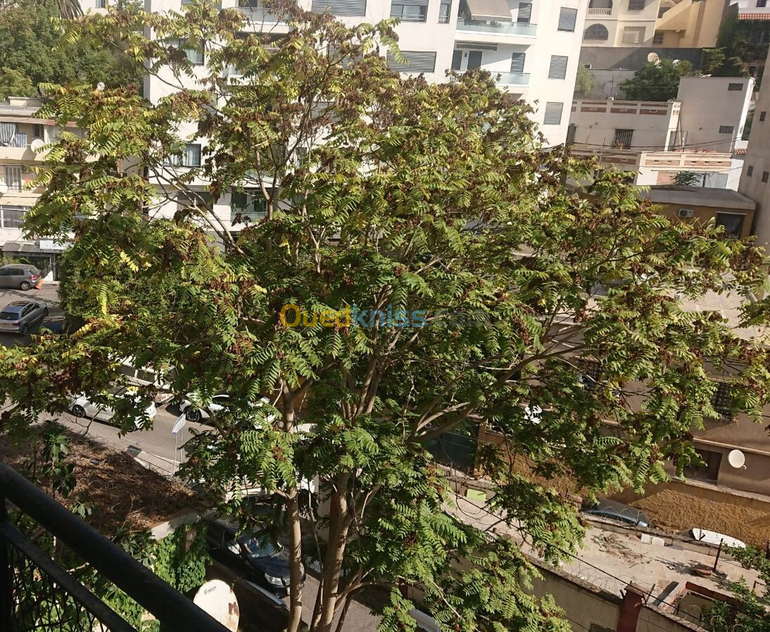 Vente Appartement F4 Alger Hydra