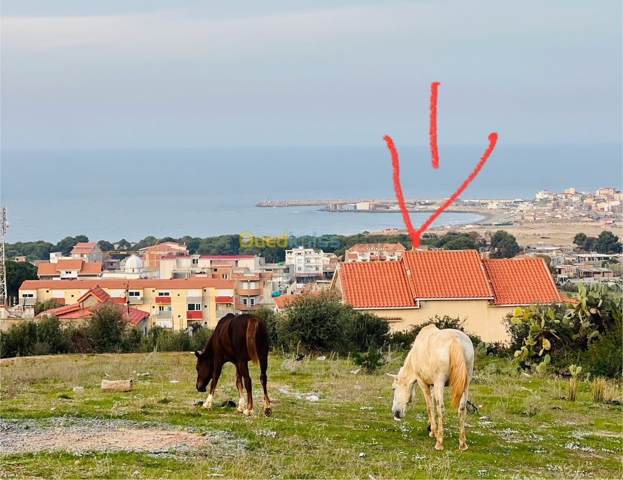 Vente Villa Boumerdès Zemmouri