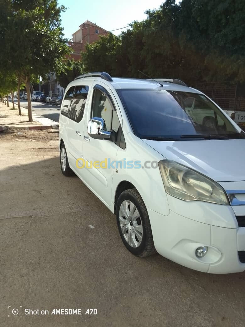 Citroen Berlingo 2010 