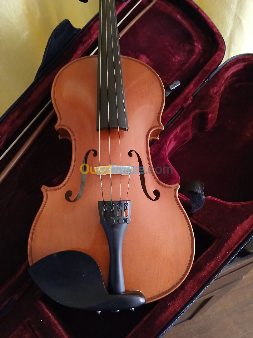 Violon GEWA Ideale