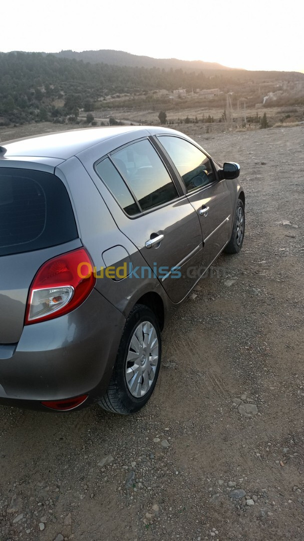 Renault Clio 3 2009 Clio 3