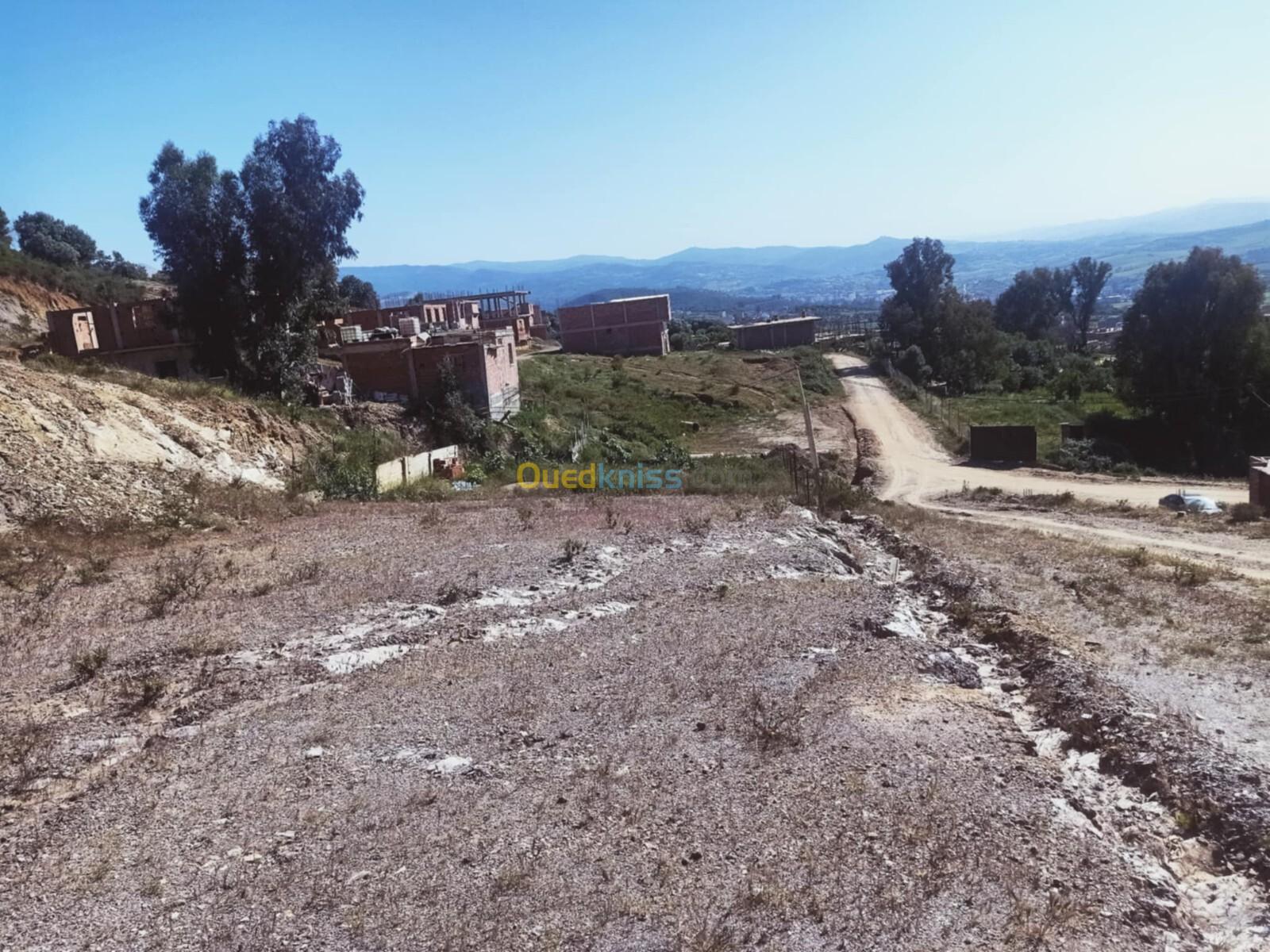 Vente Terrain Boumerdès Ouled moussa