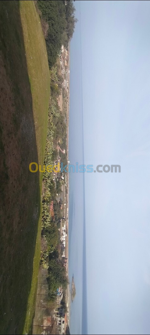 Vente Terrain Jijel Sidi abdelaziz