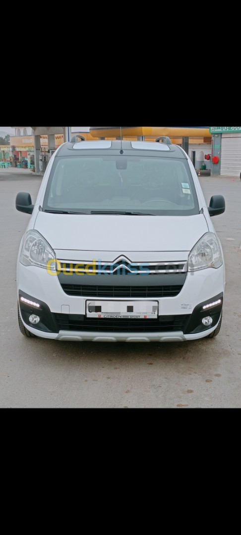 Citroen Berlingo 2019 Berlingo