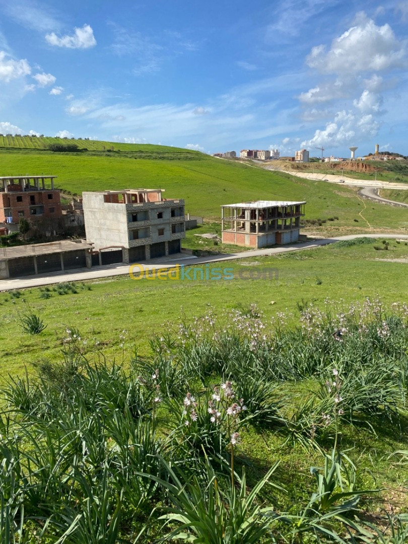 Vente Terrain Boumerdès Tidjelabine