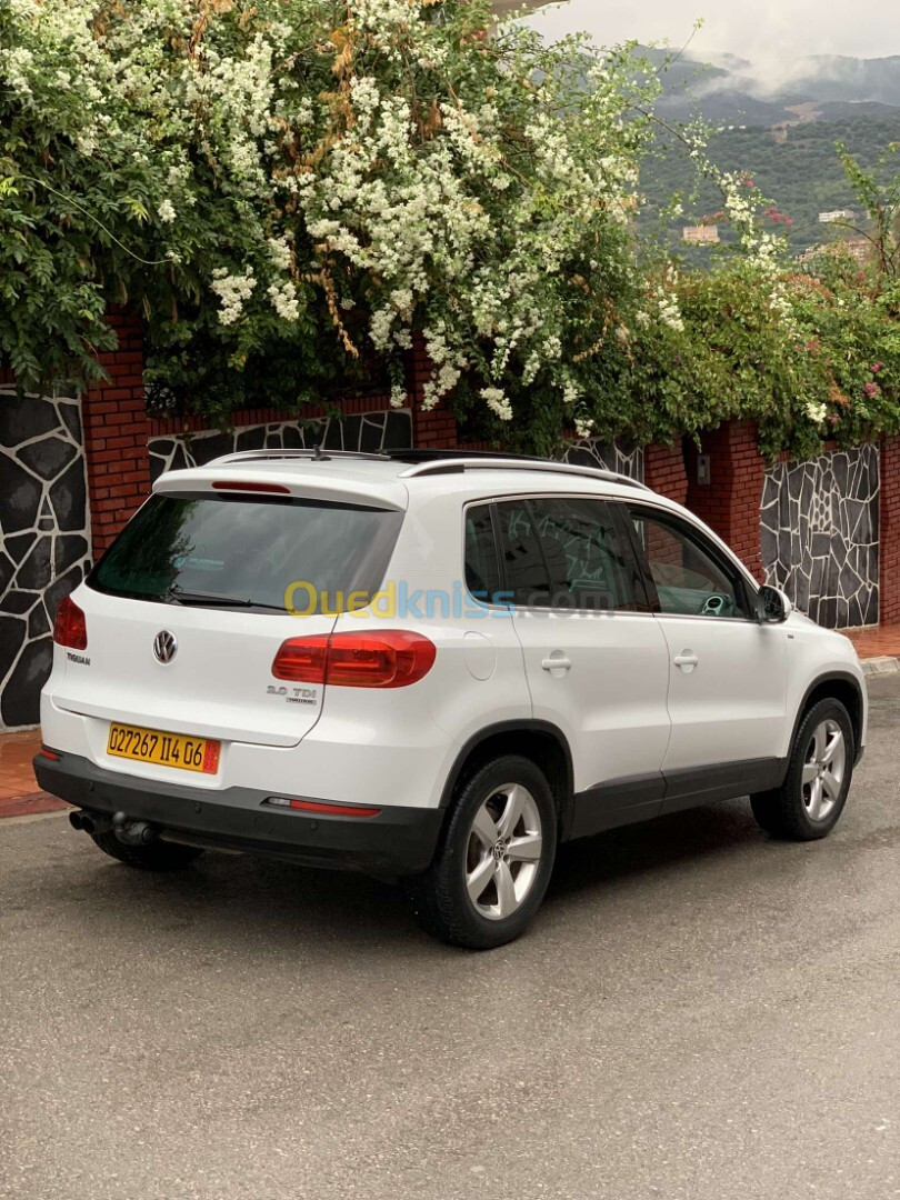 Volkswagen Tiguan 2014 Tiguan