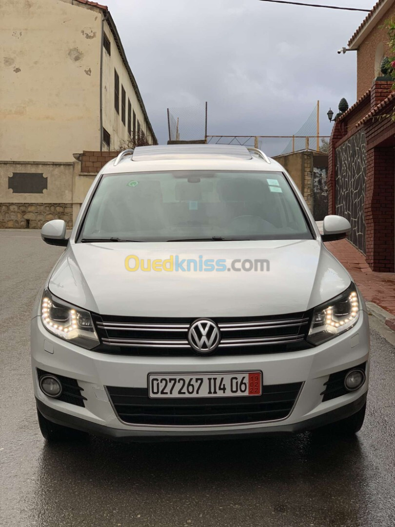 Volkswagen Tiguan 2014 Tiguan