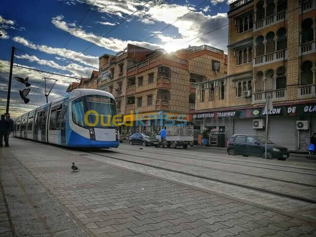 Location Local Alger Bab ezzouar