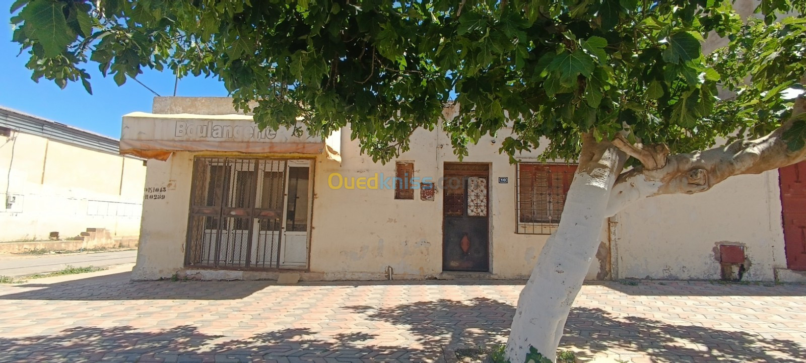 Vente Appartement F3 Aïn Témouchent Chaabet el ham