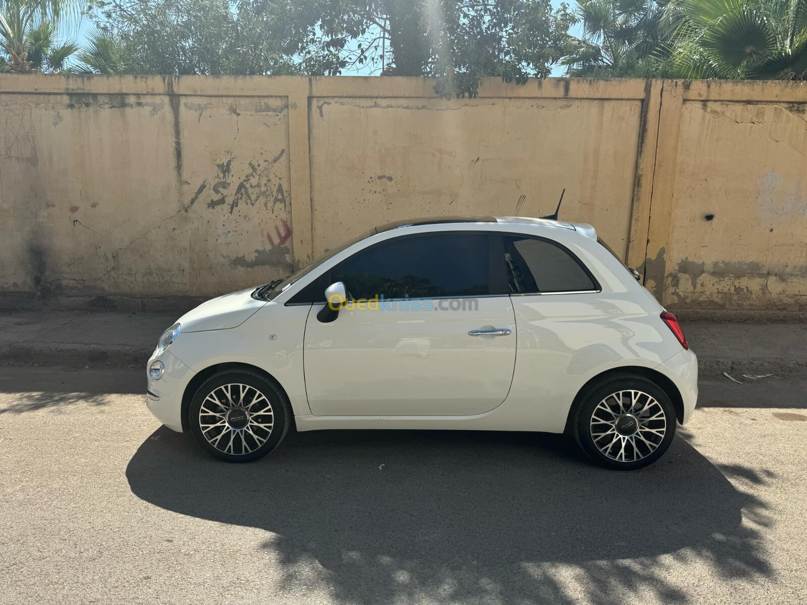 Fiat 500 2024 500