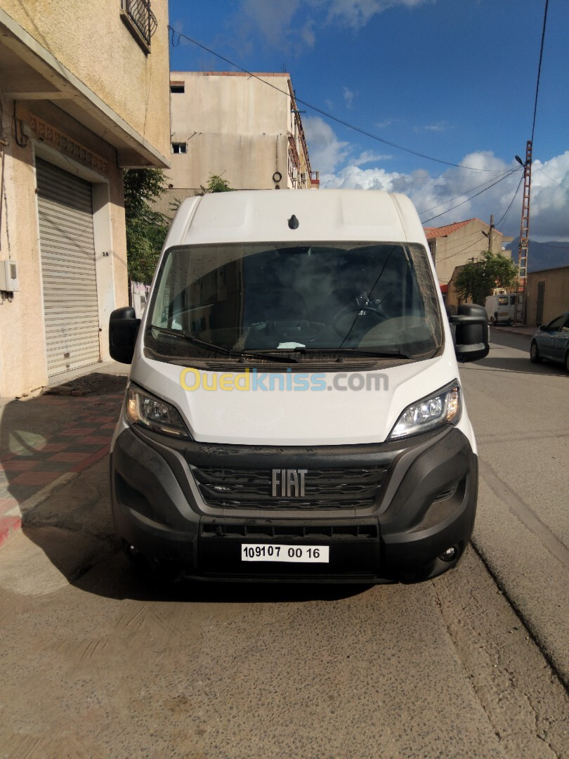 Fiat ducato L2H2 2024