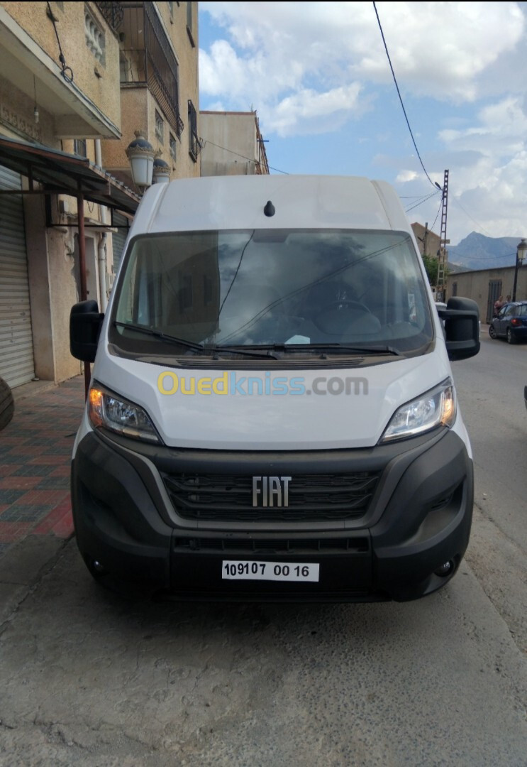 Fiat ducato L2H2 2024