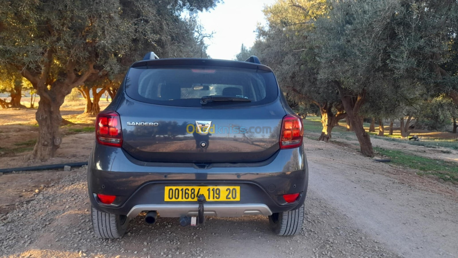 Dacia Sandero 2019 Stepway restylée