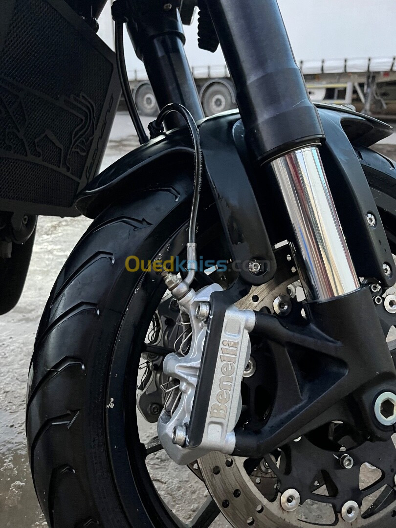 Benelli Leoncino 500 2019