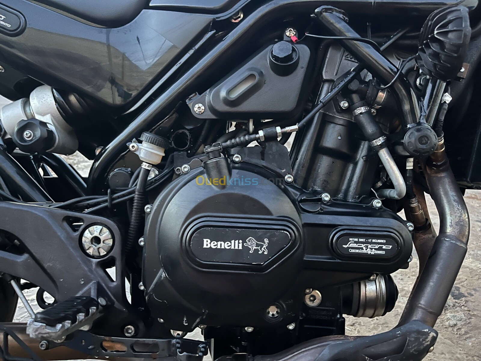 Benelli Leoncino 500 2019