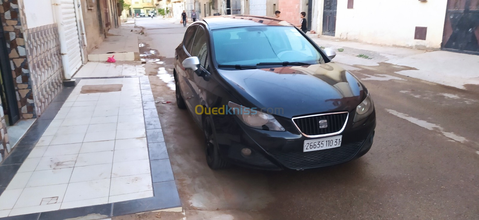 Seat Ibiza 2010 Loca