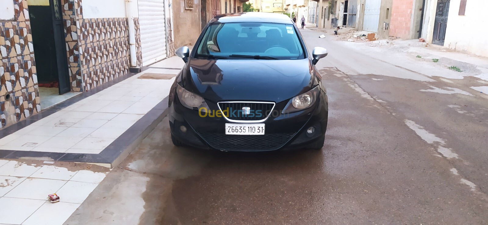 Seat Ibiza 2010 Loca